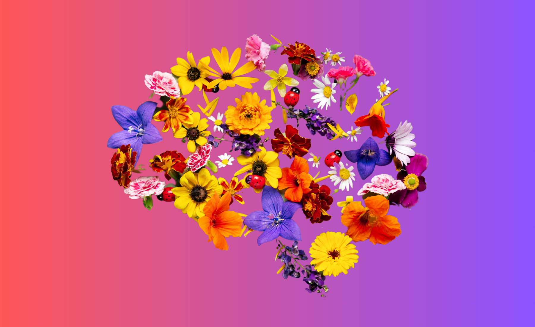 Your brain on cortisol. When stress takes its toll.