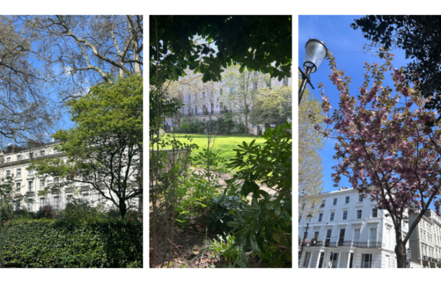 solo travelling through Europe