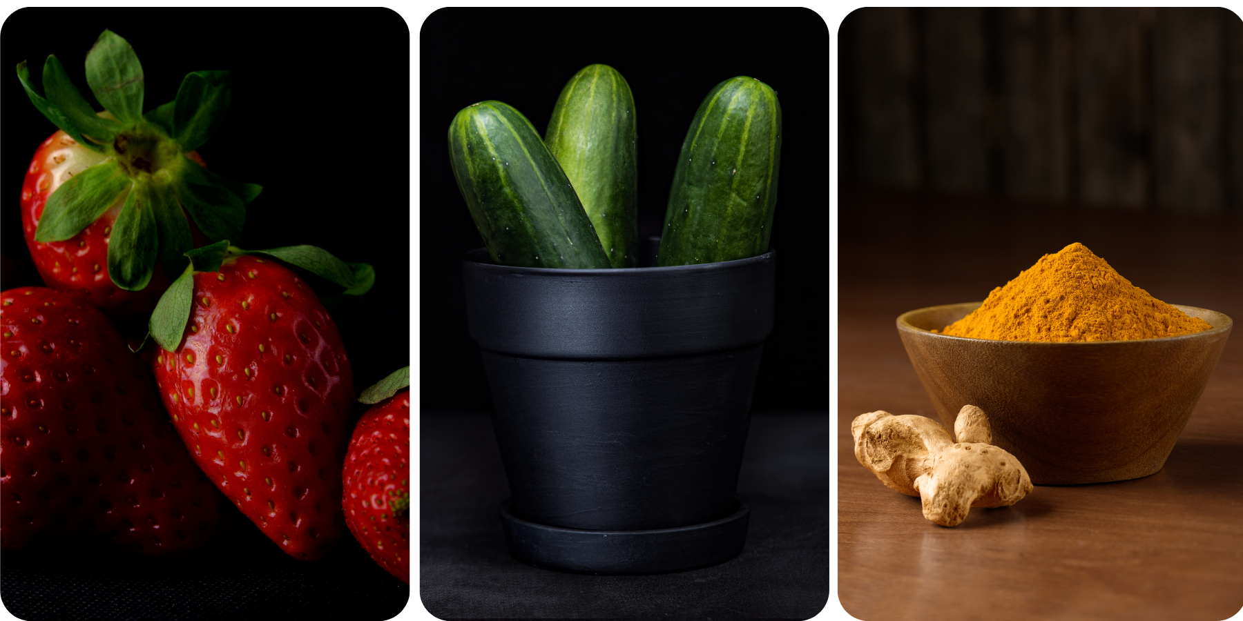 Zombie Cells + Healthy Ageing